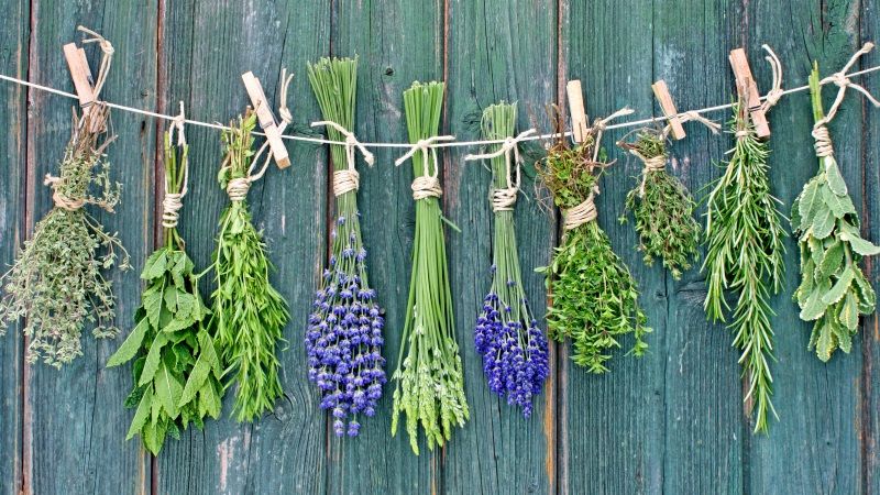 Why herbal collections are in trend currently?